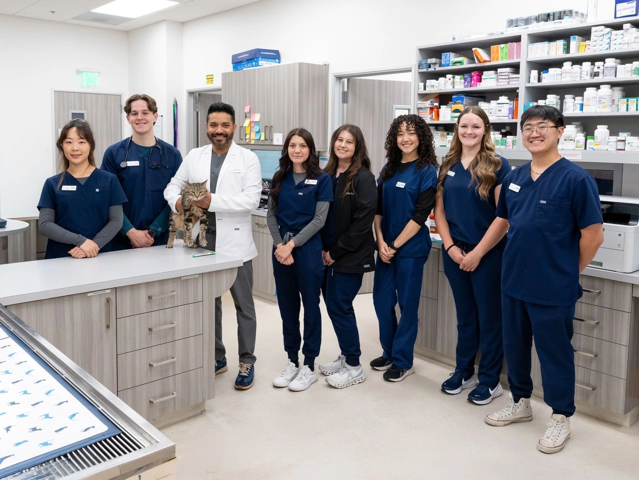 How to Find the Right Fresno Veterinarian for Your Pet